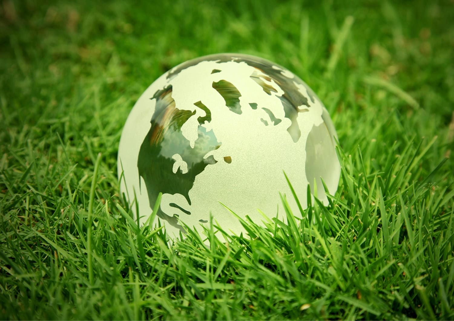 5-GoingGreenImg