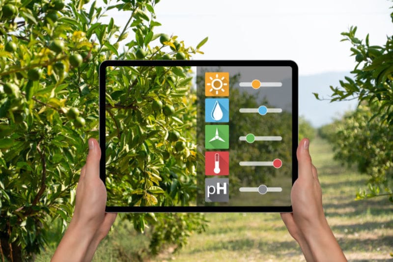 Farmer Checking Weather with a Tablet