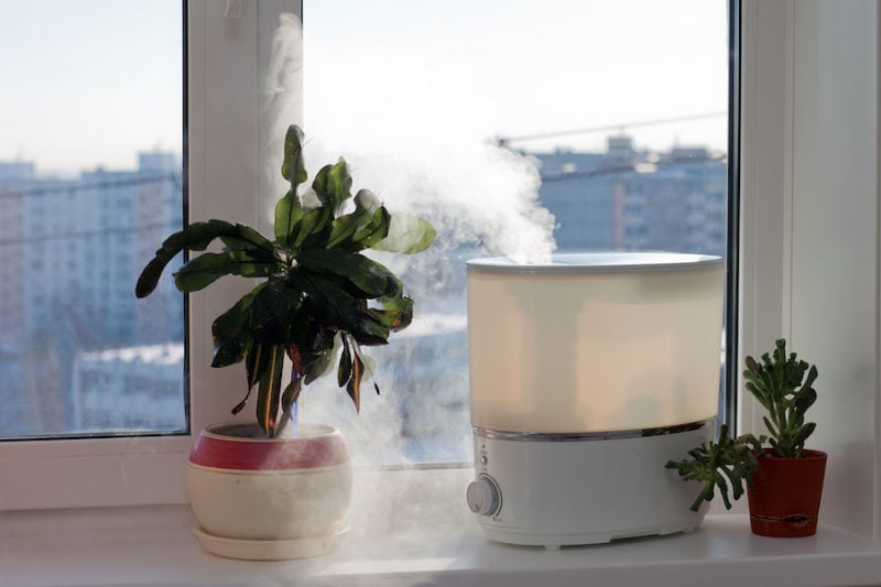 Humidifier spreading steam into the living room