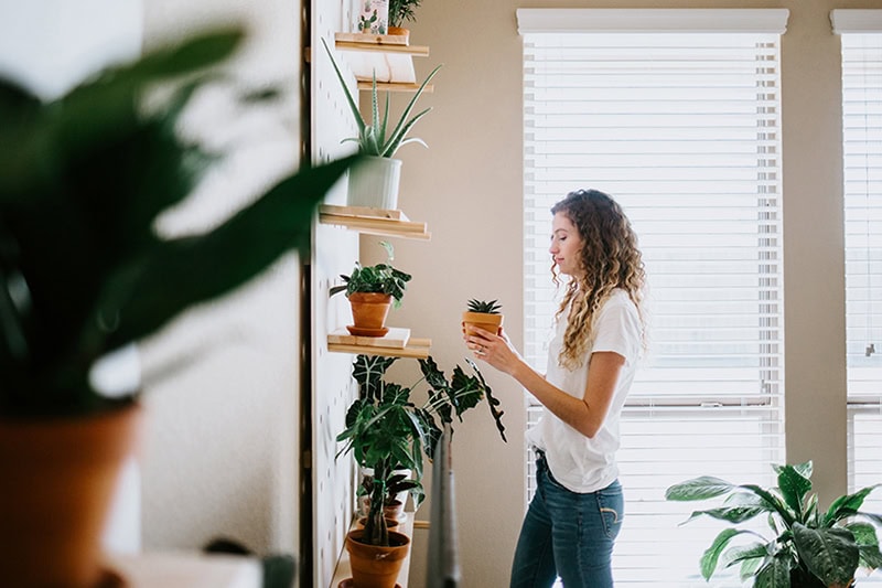 Breathe Cleaner Air in Your Idaho Home. Woman standing in a room surrounded by potted plants
